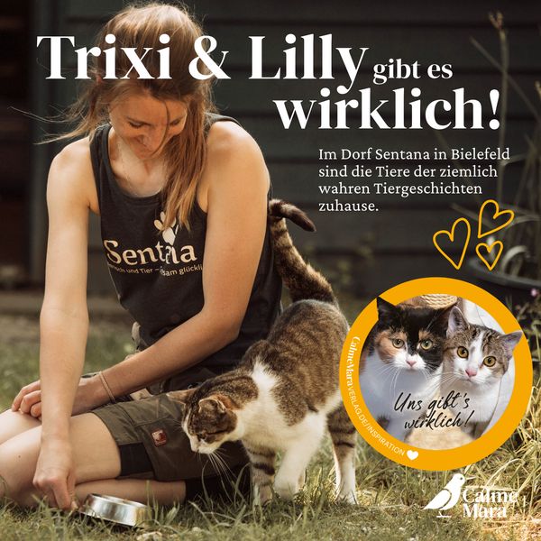 Produktbild: Trixi, Lilly und der Waschb&auml;r