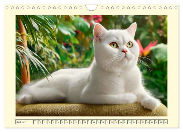 Produktbild: Sch&ouml;ne Katzen. Beliebte Samtpfoten im Garten (Wandkalender 2027 DIN A4 quer), CALVENDO Monatskalender