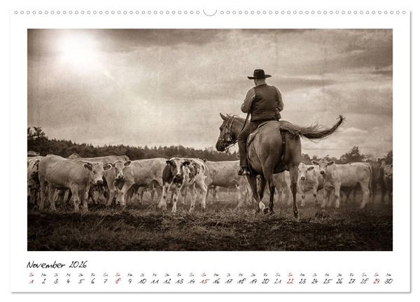 Produktbild: Mecklenburgs Wilder Westen (hochwertiger Premium Wandkalender 2026 DIN A2 quer), Kunstdruck in Hochglanz