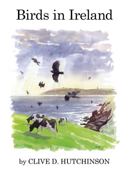 Produktbild: Birds in Ireland