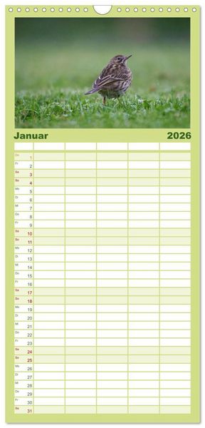 Produktbild: Familienplaner 2026 - Wilde Vogelwelt Helgoland mit 5 Spalten (Wandkalender, 21 x 45 cm) CALVENDO