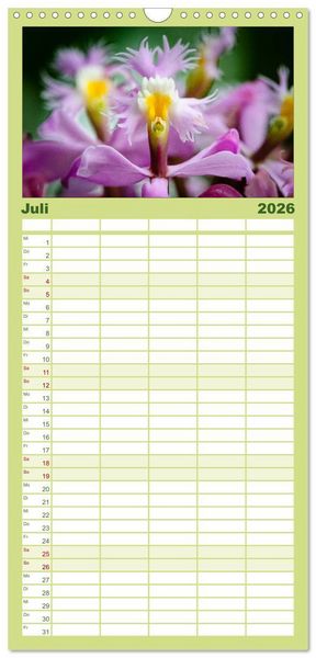 Produktbild: Familienplaner 2026 - Wunderbare Orchideen mit 5 Spalten (Wandkalender, 21 x 45 cm) CALVENDO