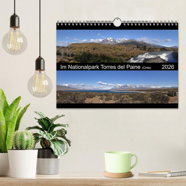 Produktbild: Im Nationalpark Torres del Paine (Chile) (Wandkalender 2026 DIN A4 quer), CALVENDO Monatskalender