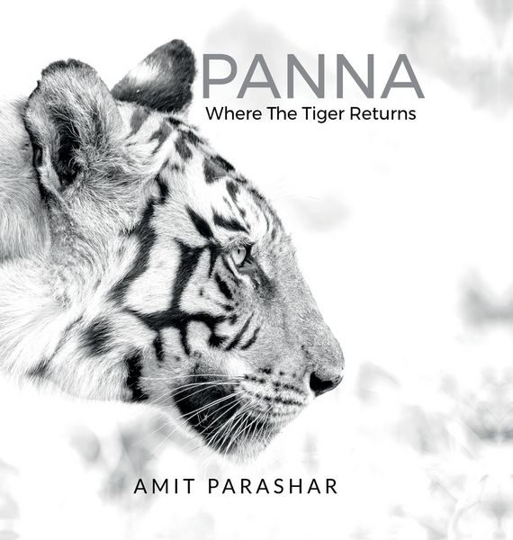 Produktbild: Panna