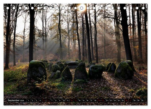 Produktbild: L&uuml;neburger Heide (Tischkalender 2026 DIN A5 quer), CALVENDO Monatskalender