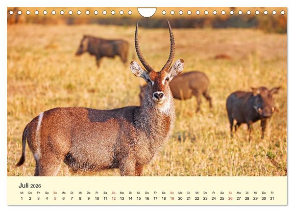 Produktbild: Traumhaftes Malawi (Wandkalender 2026 DIN A4 quer), CALVENDO Monatskalender
