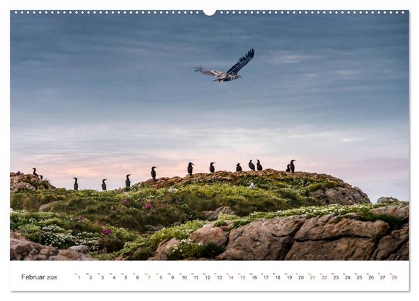 Produktbild: Nordland &ndash; Die Weite Skandinaviens (hochwertiger Premium Wandkalender 2026 DIN A2 quer), Kunstdruck in Hochglanz