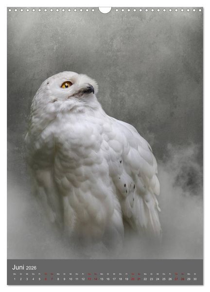 Produktbild: Portraits of Animals (Wandkalender 2026 DIN A3 hoch), CALVENDO Monatskalender