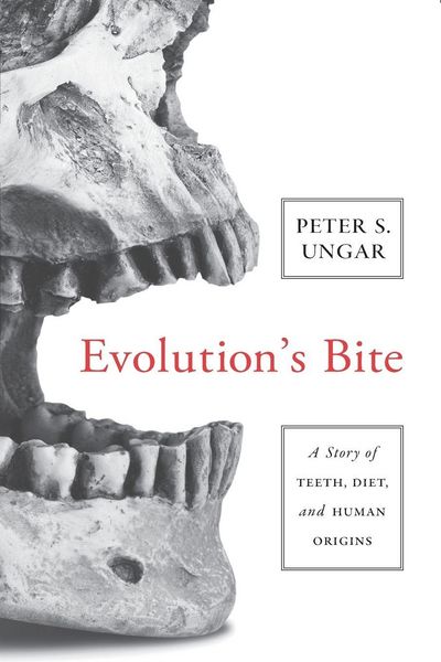 Produktbild: Evolution's Bite