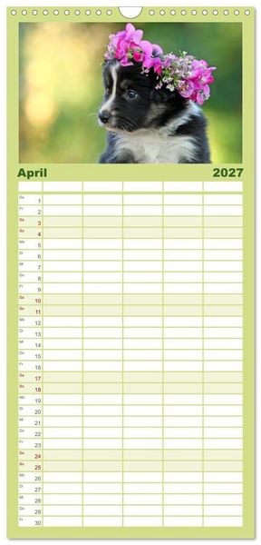 Produktbild: Familienplaner 2027 - Der Bordercollie-Kalender mit 5 Spalten (Wandkalender, 21 x 45 cm) CALVENDO