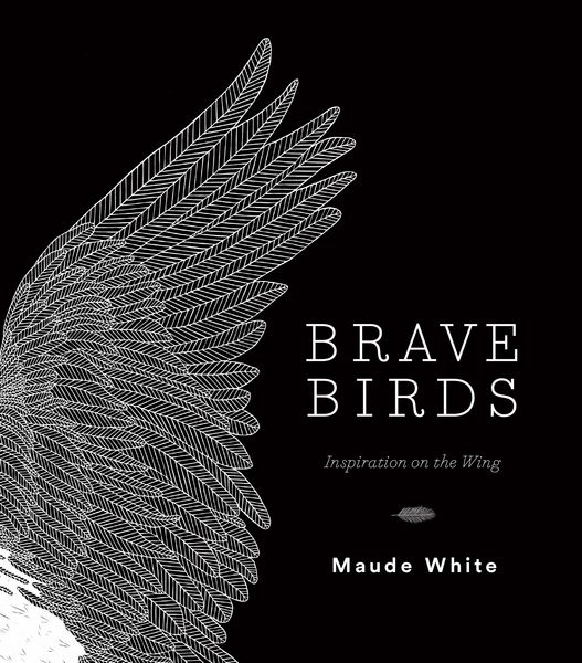 Produktbild: Brave Birds