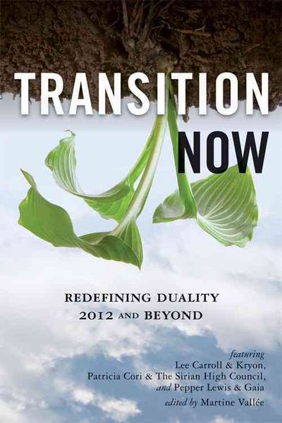 Produktbild: Transition Now