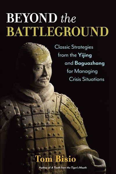 Produktbild: Beyond the Battleground