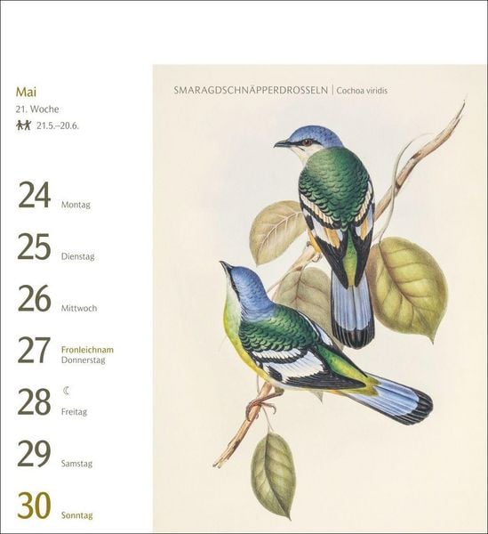 Produktbild: V&ouml;gel Postkartenkalender 2027 - Postkartenkalender mit 53 historischen Zeichnungen