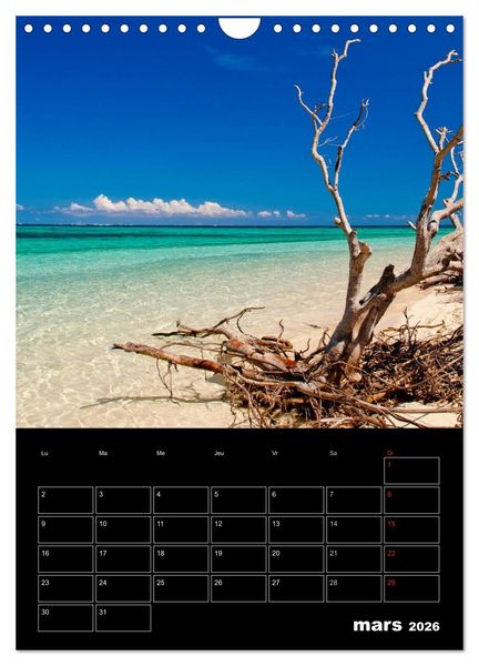 Produktbild: Paysages cal&eacute;doniens (Calendrier mural 2026 DIN A4 horizontal), CALVENDO calendrier mensuel