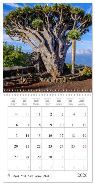 Produktbild: Europe's finest travel spots - Island Edition (Wall Calendar 2026 12 &times; 12 Inch) CALVENDO 12 Month Wall Calendar