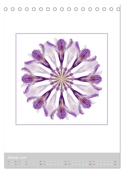 Produktbild: Pflanzen - Mandalas aus Bl&uuml;ten und Bl&auml;ttern (Tischkalender 2026 DIN A5 hoch), CALVENDO Monatskalender