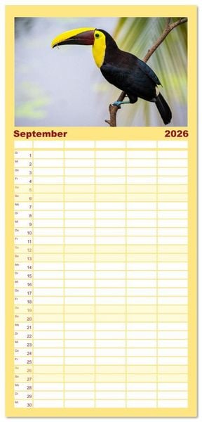 Produktbild: Familienplaner 2026 - Phantastische Vogelwelt Costa Rica mit 5 Spalten (Wandkalender, 21 x 45 cm) CALVENDO