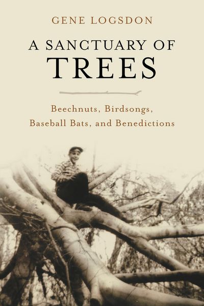 Produktbild: A Sanctuary of Trees
