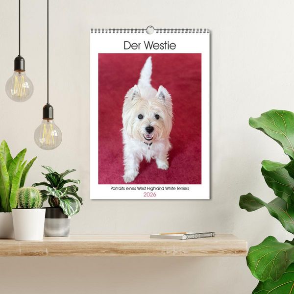 Produktbild: Der Westie - Portrait eines West Highland White Terriers (Wandkalender 2026 DIN A3 hoch), CALVENDO Monatskalender