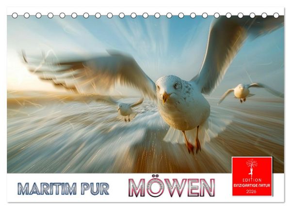 Produktbild: Maritim pur - M&ouml;wen (Tischkalender 2026 DIN A5 quer), CALVENDO Monatskalender