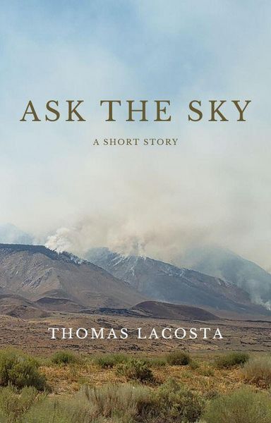 Produktbild: Ask the Sky