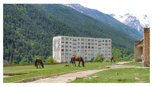 Produktbild: Patterned Panels. Mosaic Fa&ccedil;ades by the Jarsky Brothers in Soviet and Uzbek Tashkent