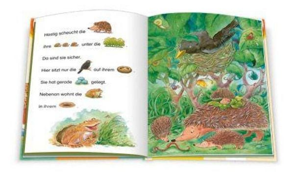 Produktbild: Vom kleinen Igel, der lieber ein ganz Gro&szlig;er w&auml;re
