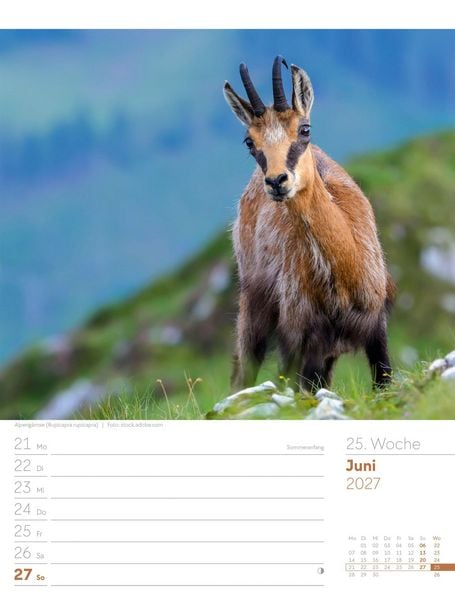 Produktbild: Faszination Alpenwelt Wochenplaner Kalender 2027