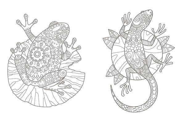 Produktbild: Colorful Mandala &ndash; Mandala &ndash; Spaziergang durch die Natur