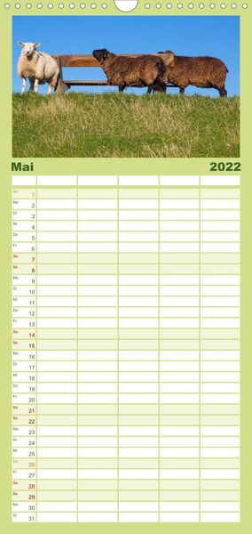 Produktbild: Familienplaner Pellworm 2022 (Wandkalender 2022 , 21 cm x 45 cm, hoch)