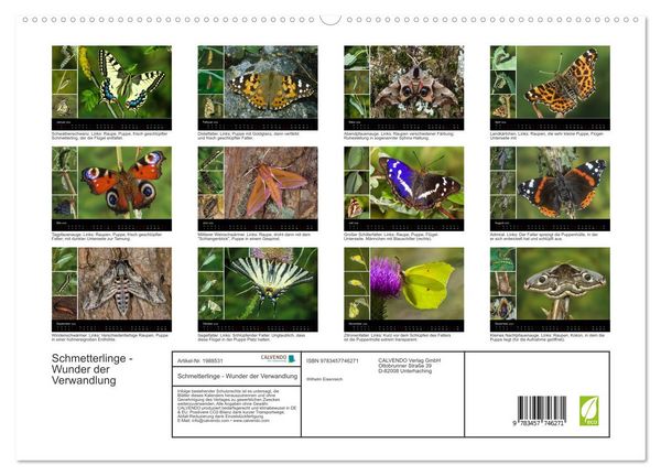 Produktbild: Schmetterlinge - Wunder der Verwandlung (hochwertiger Premium Wandkalender 2026 DIN A2 quer), Kunstdruck in Hochglanz