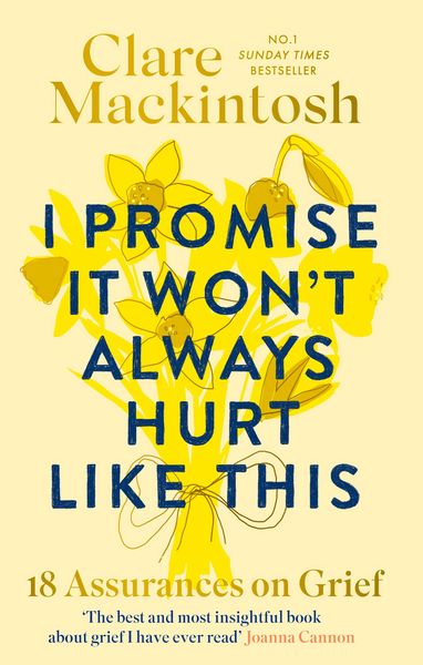 Produktbild: I Promise It Won't Always Hurt Like This