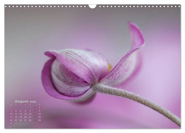 Produktbild: Zauberhafte Bl&uuml;ten (Wandkalender 2026 DIN A3 quer), CALVENDO Monatskalender