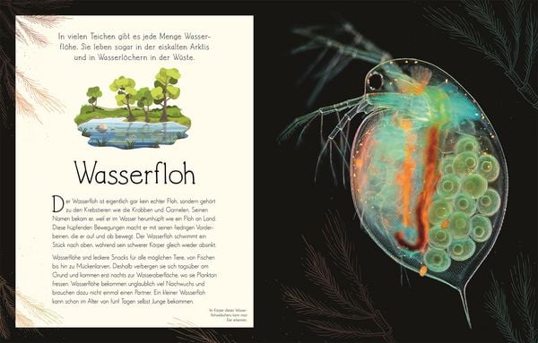 Produktbild: Wundervolle Welt. Wasser