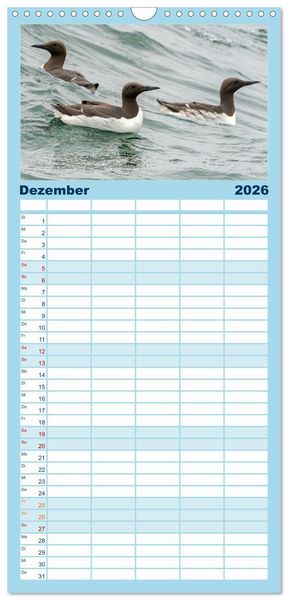 Produktbild: Familienplaner 2026 - Unsere Vogelvielfalt: Ein Schatz zum Entdecken und Sch&uuml;tzen mit 5 Spalten (Wandkalender, 21 x 45 cm) CALVENDO