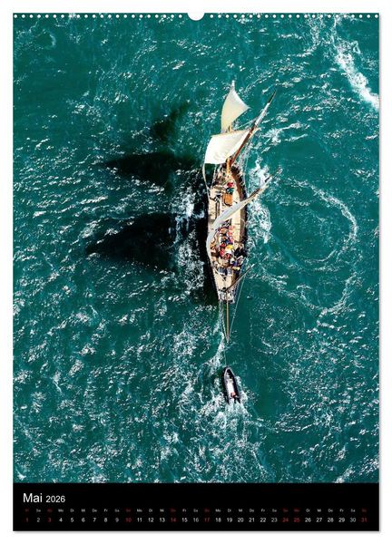 Produktbild: Segelschiffe von damals (hochwertiger Premium Wandkalender 2026 DIN A2 hoch), Kunstdruck in Hochglanz