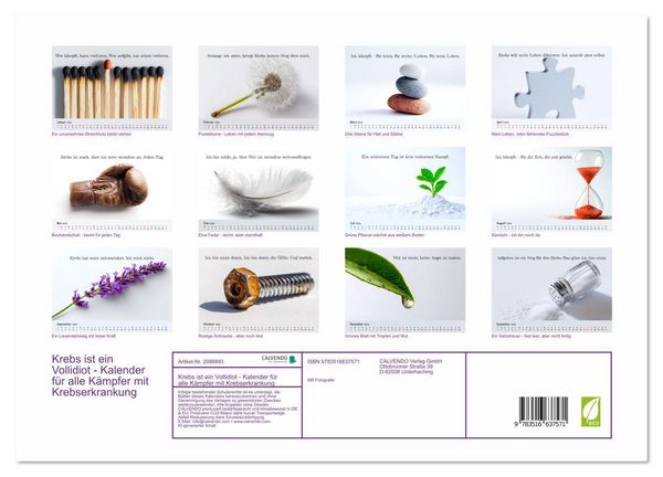 Produktbild: Krebs ist ein Vollidiot - Kalender f&uuml;r alle K&auml;mpfer mit Krebserkrankung (hochwertiger Premium Wandkalender 2026 DIN A2 quer), Kunstdruck in Hochglanz