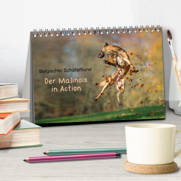 Produktbild: Belgischer Sch&auml;ferhund - Der Malinois in Action (Tischkalender 2026 DIN A5 quer), CALVENDO Monatskalender