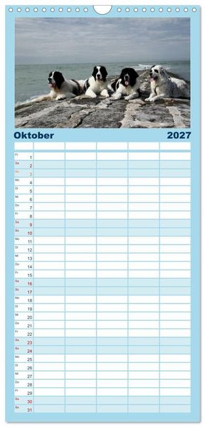 Produktbild: Familienplaner 2027 - Landseer - Das Wasser ist ihr Element mit 5 Spalten (Wandkalender, 21 x 45 cm) CALVENDO