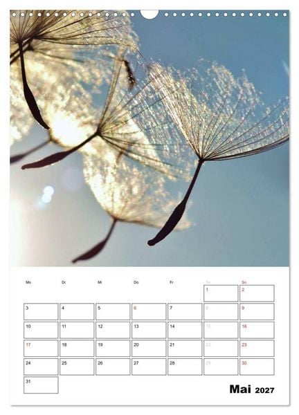 Produktbild: Pusteblumentraum - Dreams of Dandelion (Wandkalender 2027 DIN A3 hoch), CALVENDO Monatskalender