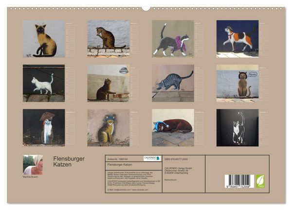 Produktbild: Flensburger Katzen (hochwertiger Premium Wandkalender 2026 DIN A2 quer), Kunstdruck in Hochglanz
