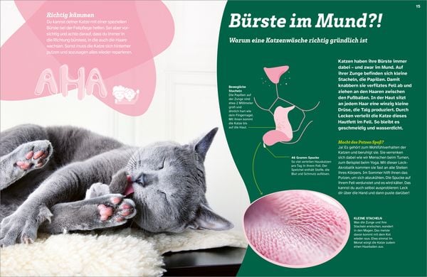 Produktbild: WAS IST WAS Katzen. Eigenwillige Schnurrer