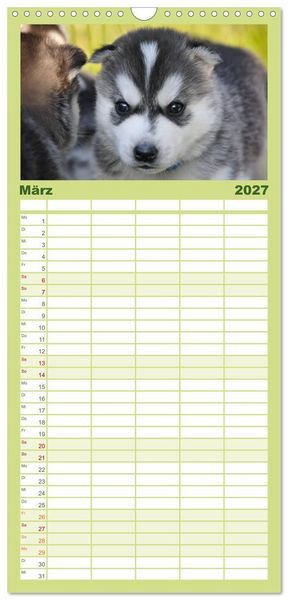 Produktbild: Familienplaner 2027 - Huskys - Traumhunde mit 5 Spalten (Wandkalender, 21 x 45 cm) CALVENDO