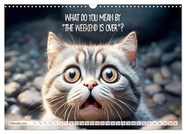Produktbild: WITTY CATS Cool sayings (Wall Calendar 2026 DIN A3 landscape), CALVENDO 12 Month Wall Calendar