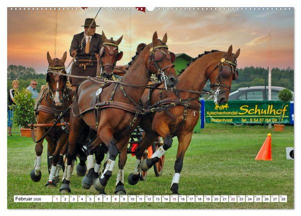 Produktbild: Viersp&auml;nner Herausforderung Fahrsport (Wandkalender 2026 DIN A2 quer), CALVENDO Monatskalender