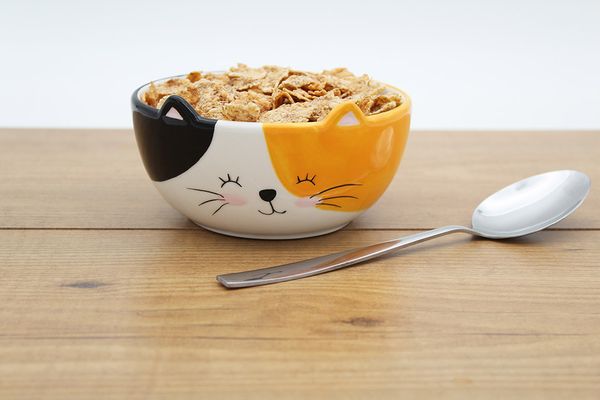 Produktbild: M&uuml;slischale Katze