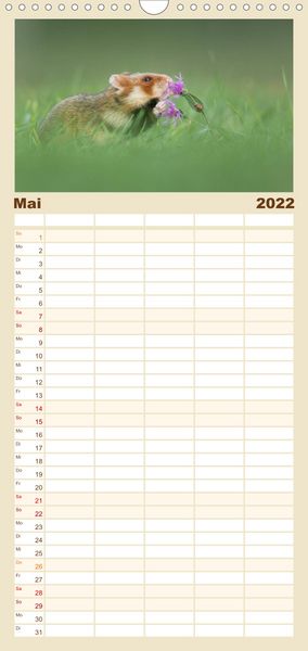 Produktbild: Familienplaner Naturfotografie (Wandkalender 2022 , 21 cm x 45 cm, hoch)