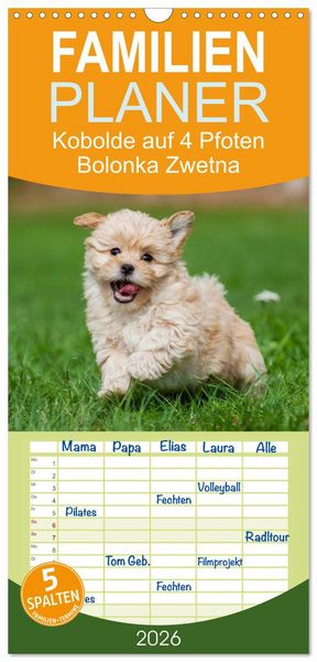 Produktbild: Familienplaner 2026 - Kobolde auf 4 Pfoten - Bolonka Zwetna mit 5 Spalten (Wandkalender, 21 x 45 cm) CALVENDO