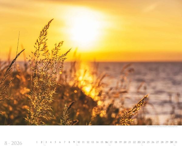 Produktbild: Deutsche Küsten 2026 - Bildkalender XXL 60x50 cm - hochwertiger Wandkalender im Querformat - Landschaftskalender - Wandplaner